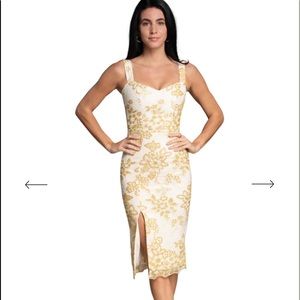 Dress the population Tuscan multi dress. NWT